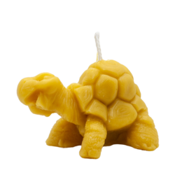 Tartaruga grande